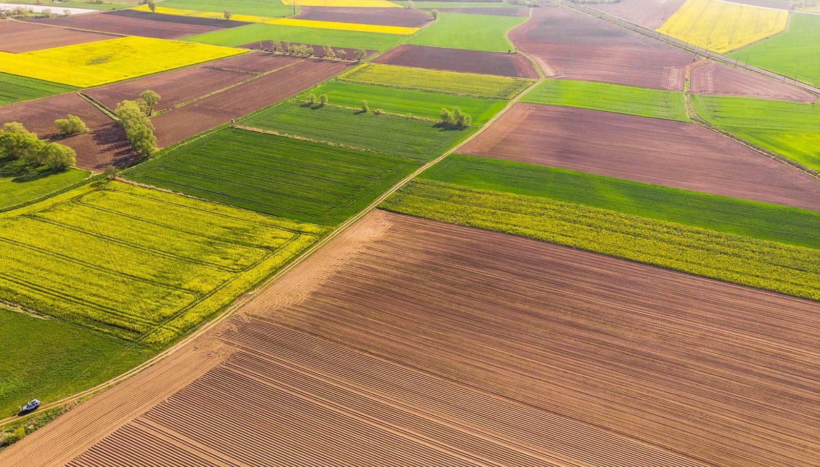 Better agriculture. Сельхозугодья Весна. Сельскохозяйственные угодья из лего. Agricultural Spring.